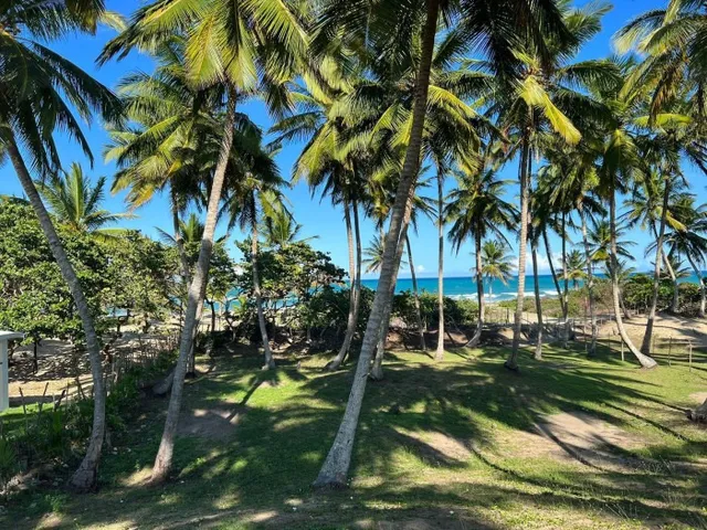 Venta Solar Playa Boca De Yasica Gaspar Hernandez