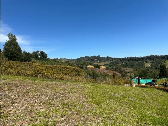 Lote En Sector Alto De Palmas, Sector Variante Aeropuerto, Envigado