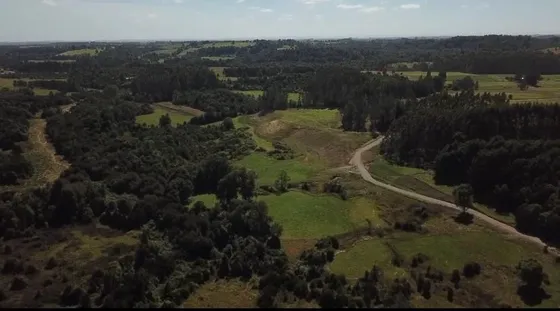 Sitio En Venta En Puerto Varas