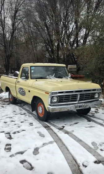 Ford F-100 3.6 Std