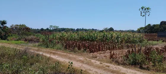 Venta De Terreno En Colonia Insurgentes Por Reclusorio En Tuxtepec Oaxaca.