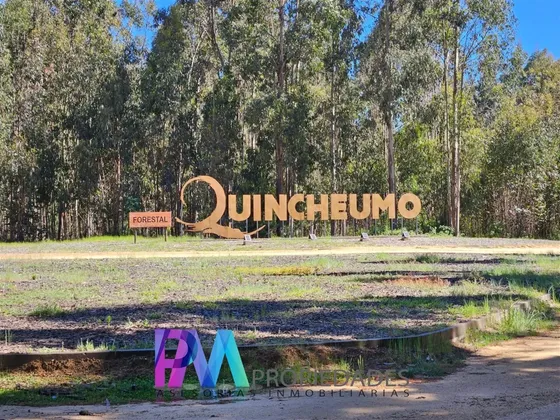 Espectacular Parcela 5.000 M2 En Venta En Pichilemu
