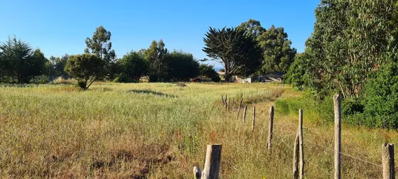 Vende Precioso Terreno En Coliumo De 3 Hectareas