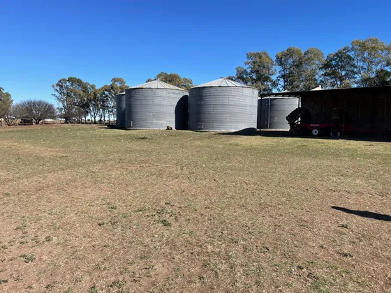Campo En Venta-villarino