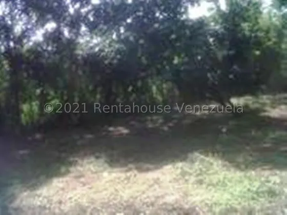 Se Vende Terreno Con Casa En Parque Agrinco Higuerote Lmm