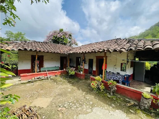 Se Vende Finca De 10 Hectáreas En San Roque, Antioquia  