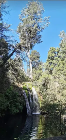 En Venta, Parcela De  10000 Mt2 La Placeta Molina Maule