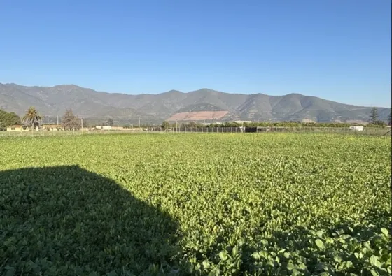 Alto Campo Inmobiliaria Vende Parcela En Quillota