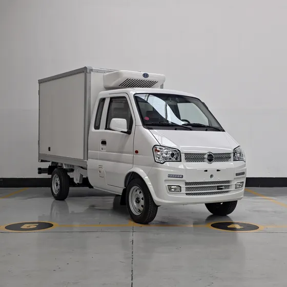 Dfsk K01h 1.3 Pickup