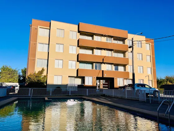 En Principal Avenida De Angol (103552)