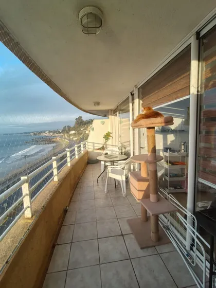 Vendo Soleado Depto. Frente Al Mar Playa Higuerillas!
