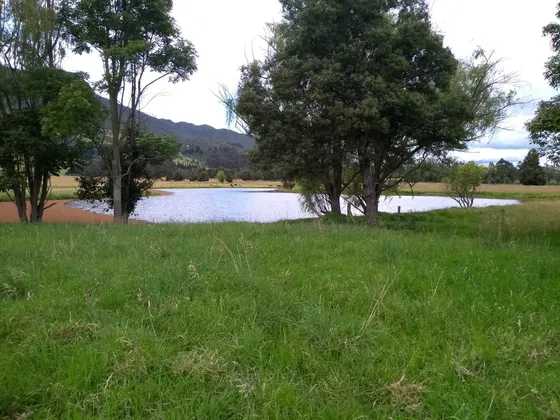 Finca En Tenjo. Se Vende 39.5 Fanegadas  Planas Vía Pavimentada.
