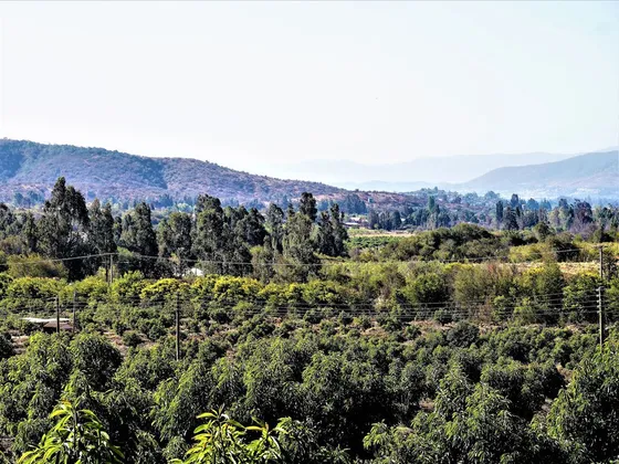 Terreno De 2,74ha Camino Embalse Lliu Lliu - Limache.