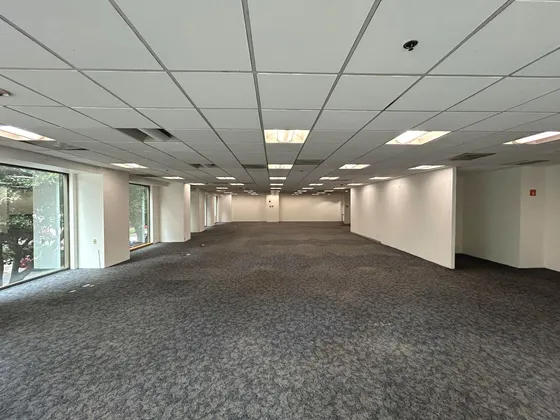Oficina En Renta - Insurgentes Sur - Piso 1 - 697 M2