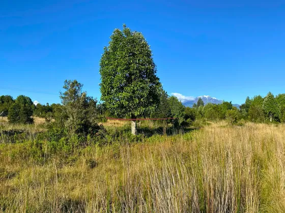 Vass Vende Parcela 5.000 M2 En Colonia 3 Puentes, Pto Varas