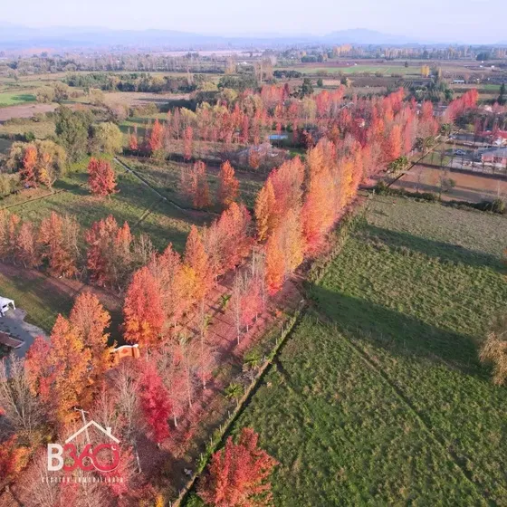 Exclusividad Y Naturaleza A Solo 10 Minutos De Linares!