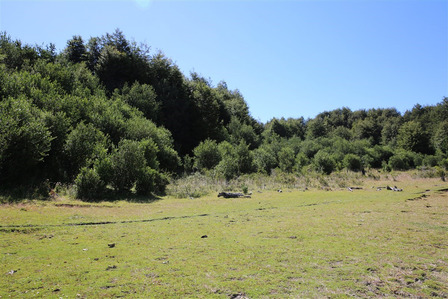 Parcela En Venta Lago Elizalde En Coyhaique Parcela En Venta Lago Elizalde En Coyhaique