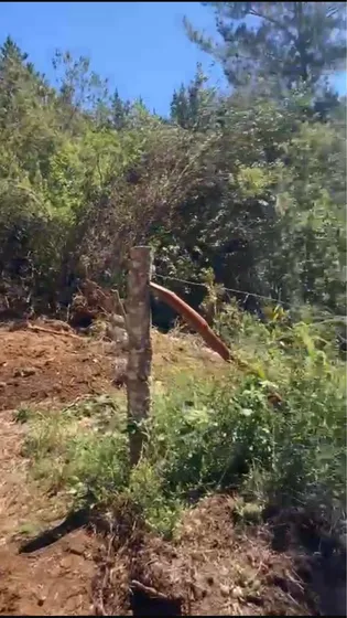 Parcela Loncoche Sector Afquintue 2 Hectareas Con Roles