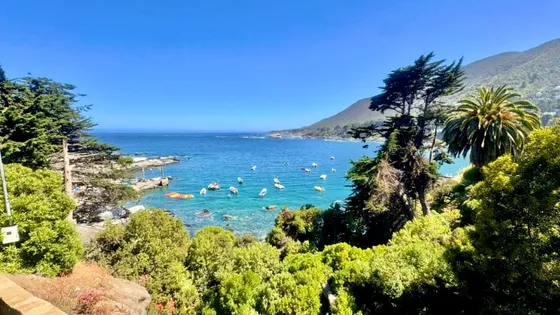Terreno Con Preciosa Vista En Venta, Primera Línea Zapallar