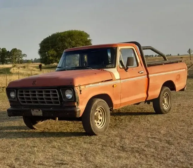 Ford F-100 3.6 Std