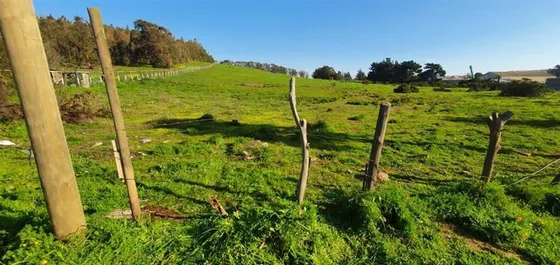 Sitio En Venta En Acceso Quintero F-210.