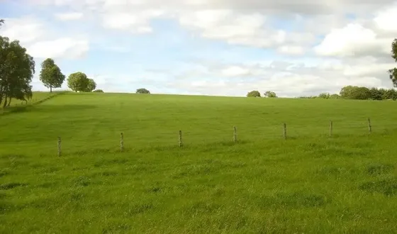 Agrícola En Venta En Los Muermos
