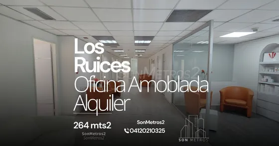 Oficina Amoblada Los Ruices Alquiler 264 Mts2 Sonmetros2