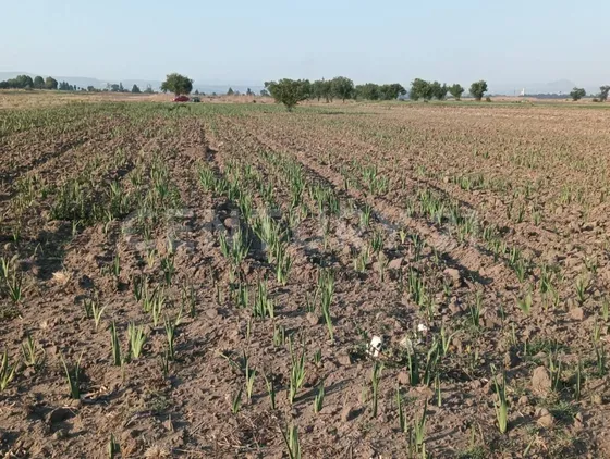 Terreno En Tlaltenango Puebla