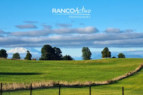 Parcelas Con Excelente Conectividad, Linea Nueva Llanquihue