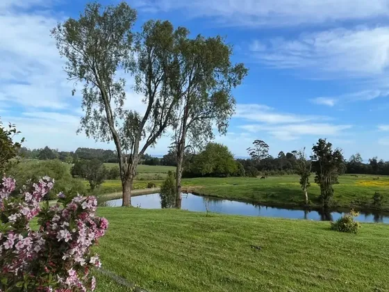 Sitio En Venta En Puerto Varas