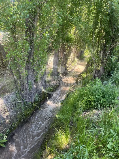 Agrícola En Venta En Pirque