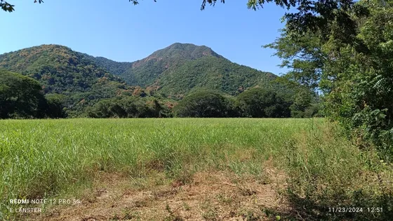 Terreno Propiedad Privada En El Naranjo, Manzanillo