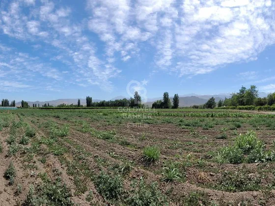 Parcela I Sector Santa Maria, San Felipe