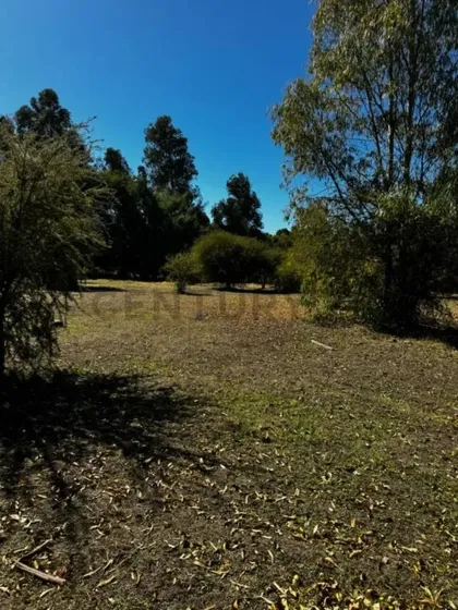 Casi Una Hectárea! Venta Terreno De 8.500 M² En Bulnes