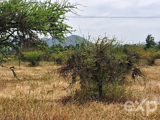 Parcela En Venta En Casablanca
