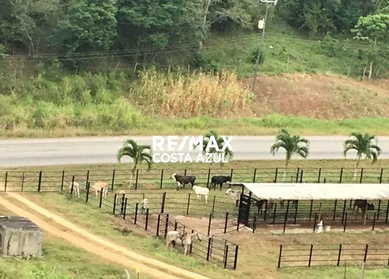 Se Vende Finca Propia Totalmente Operativa Cercana A Yaracal