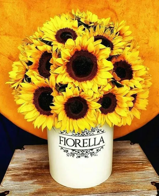 Arreglos Florales, Santo Domingo!