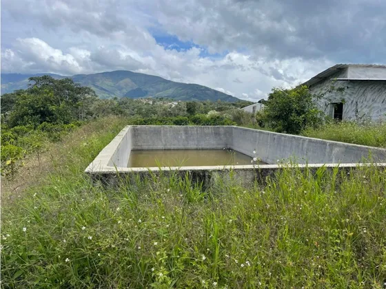 Finca Cafetalera 8 Hectareas Bocono