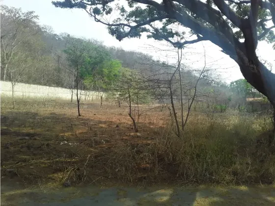 Terreno En Venta En El Polvero San Diego Mg-5056138