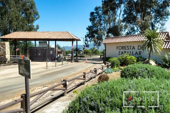 Parcela En Venta Foresta De Zapallar Catapilco