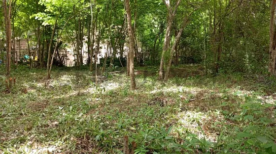 Venta De Terreno En Santa Rosa De Lima