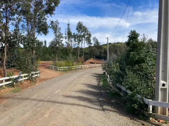 Sitio En Venta En Hualqui