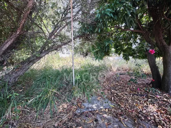 Terreno En Venta En Fracc. Vergeles De Oaxtepec Con Conexion A Servicios.