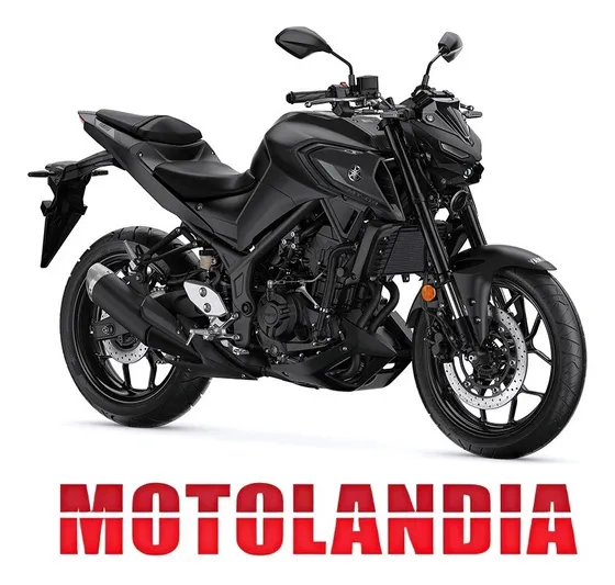 Yamaha Mt03 Entrega Inmediata Motolandia (fz 250 07)