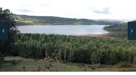 Sitio En Venta En Queilén