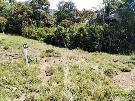Venta De Lote En Cocorná, Sector  Santa Barbara