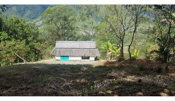 Venta Finca En Angelopolis, Vereda Santa Barbara