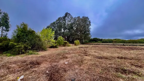 Vende Excelente Terreno Plano, Sector Urbano En Sto. Domingo