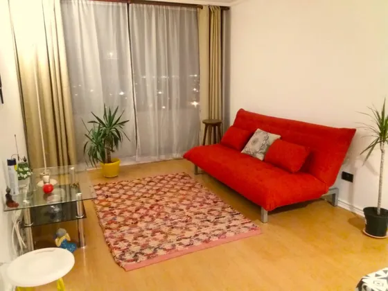 Amplio Departamento Parque Laguna Santiago Centro 