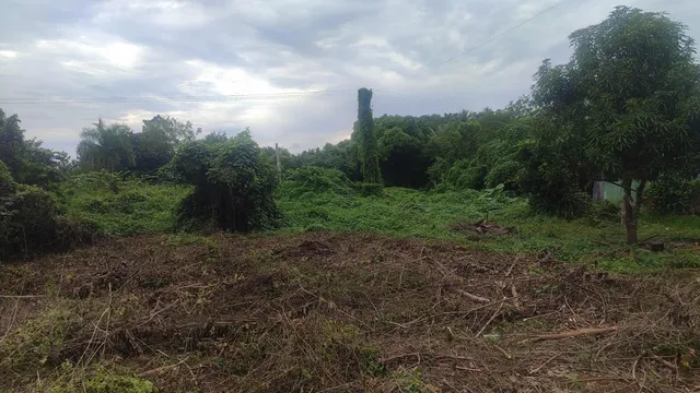 Finca En San Antonio De Guerra